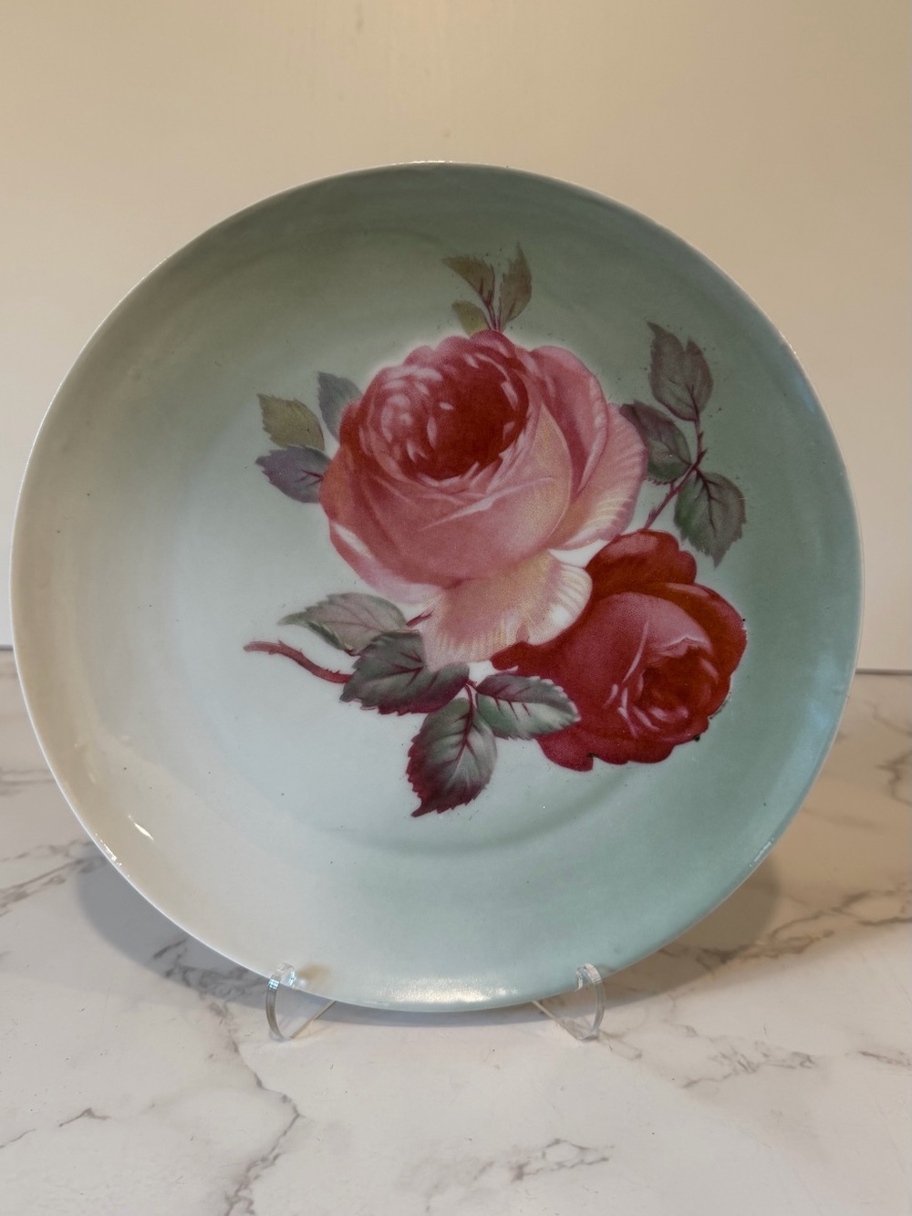 Vintage Z.S. & Co. Bavaria Hand-Painted Rose Plate 8.5” Grandmillenial